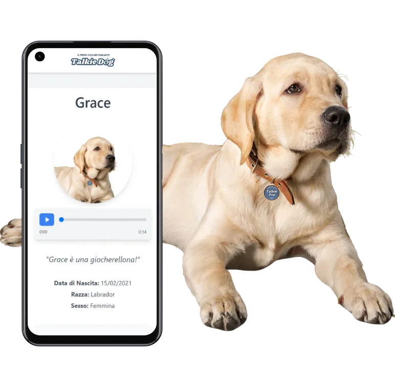 Localizzatore GPS per cani